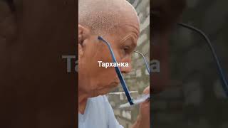 ВКО Тарханка стройка дома.