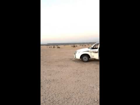 Loading video