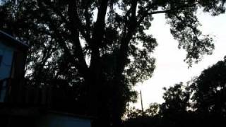 First Time Lapse with CHDK