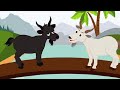 Truyện cổ tích Việt Nam l Dê trắng và Dê đen