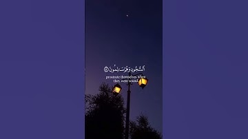 تلاوة خاشعة جميلة بصوت ماهر المعيقلي حلات واتس #قرآن #راحة_نفسية