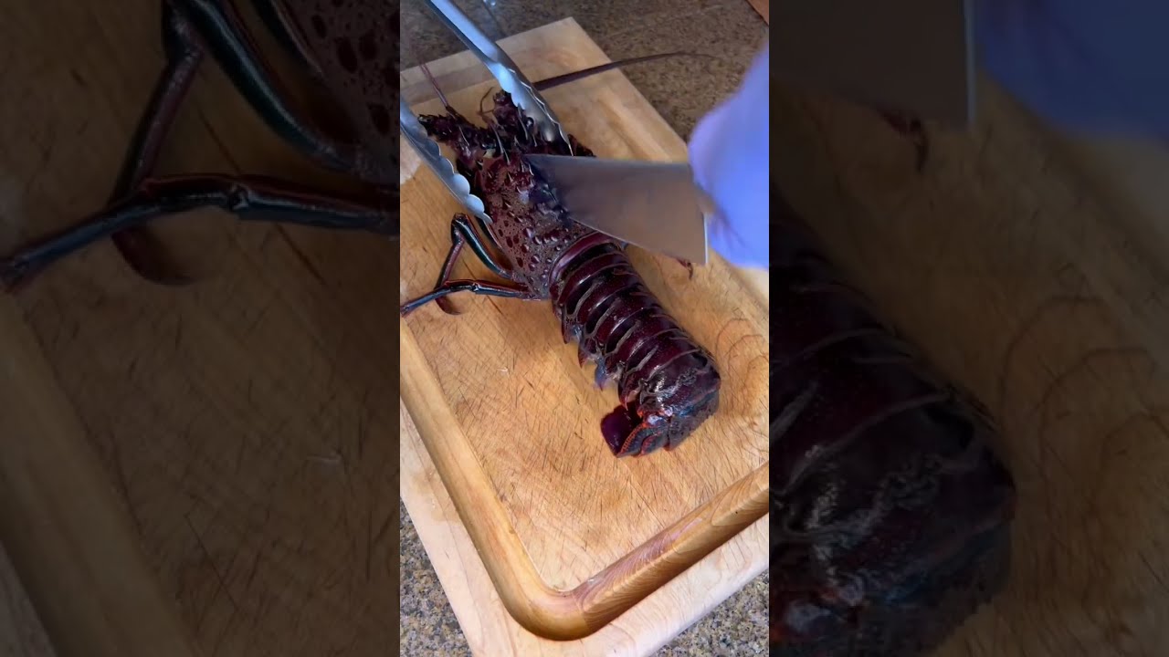 How To Humanely Break Down A Lobster Livelobster Seafood Cooking