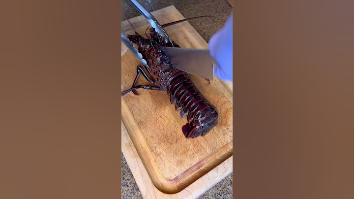 How to humanely break down a lobster #lobster #livelobster #seafood #cooking