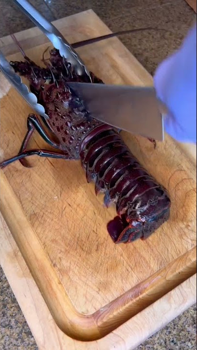 How to humanely break down a lobster #lobster #livelobster #seafood #cooking