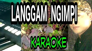 LANGGAM NGIMPI + BOWO PALARAN KARAOKE cover @Agus Togex LANGGAM JAWA , CAMPUR SARI 