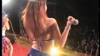 trio zebra  akrobat   misscall   om sera klotok