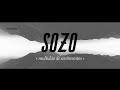 SOZO - Multidão de Sentimentos (Lyric Video) // 2016