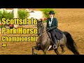 Haaa park horse champ atr at scottsdale arabian horse show 2024