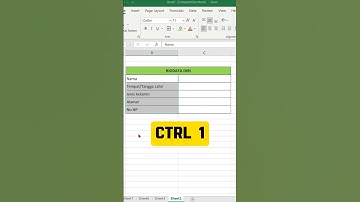 Cara Merapikan Titik Dua di Tabel Ms. Excel #shorts #tutorial #excel #AddInsight_id