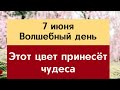 7 июня - Цвет который принесёт всем чудеса | Лунный Календарь