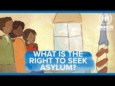 Asylum at the