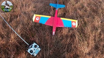 The SaS Blob Rc model plane