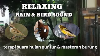 RELAKSASI/TERAPI SUARA HUJAN GUNTUR & MASTERAN 3 BURUNG