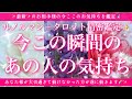 【恋愛💖】今この瞬間のあの人のあなた様へのお気持ち🔮🦋ルノルマンカードとタロットカードの併せ読みでズバリ鑑定します✨