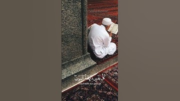 #آيات #فلسطين #اسلام_صبحي #غزة
