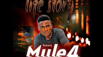 Mule 4 life story official video
