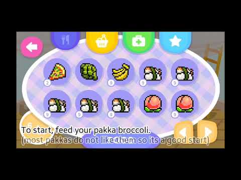 Pakka pets -