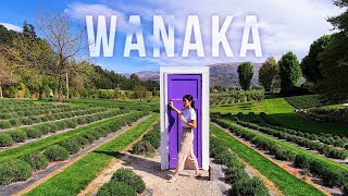 A Wonderfully Wacky Day in Wanaka | South Island, New Zealand Vlog 4/5