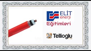 Tellioğlu Gurup Ankara Sertifikalı Eğitimi - 24.06.2020