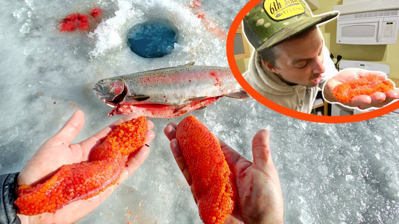 Eating RAW Vs COOKED Fish Eggs DELICIOUS Or DISGUISTING Catch 