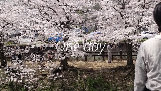 My luxury Is Peace of Mind. Sakura and Old Town.#japanvlog #relaxing