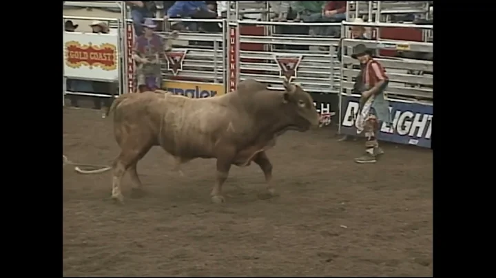 Lawman bucks Aaron Semas - 99 PBR Oklahoma City