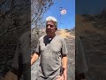 Fire expert warns property owners to trim palm trees