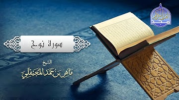 قناة المجد للقرآن الكريم قران يتلى اناء الليل واطراف النهار#quran_alkarim #قران_كريم #TravelTikTok
