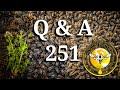 Live session backyard beekeeping questions and answers episode 251 discussing honey bees