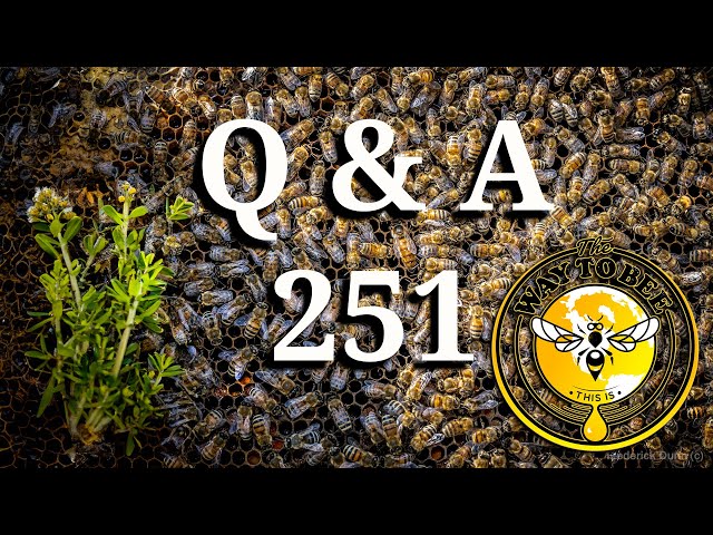 LIVE session, Backyard Beekeeping Questions and Answers Episode 251 Discussing Honey Bees class=