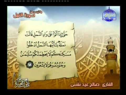 ما تيسر من سورة النمل ــ صالح عيد