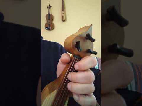 Pipilomatena on the