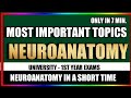 Neuroanatomy  most important topics  first year exam