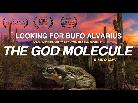 Documentary Bufo Alvarius & 5-meO- DMT  by Mario Garnier. Documental "Looking for Bufo Alvarius"