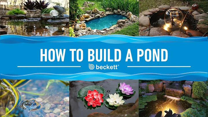 How to Build a Simple Beginner Backyard Pond - DIY Tips