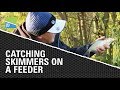 Catching Skimmers on a Feeder with Lee Kerry