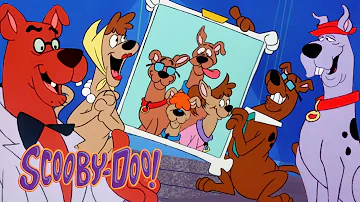 Scooby-Doo! but it's just Scooby's family | Scooby-Doo! | @GenerationWB