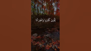 القارئ: سعد الغامدي 🍃 أرح سمعك 🥀