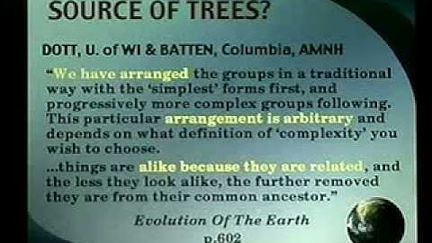 where is the evidence for evolution in the fossil record?? 2-7