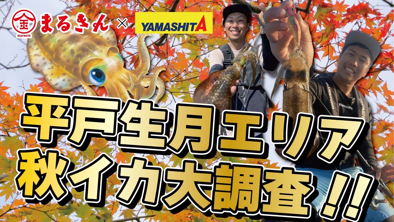 【イカ釣りの聖地】平戸市生月エリアで秋イカ大調査【つり具のまるきん釣り情報】