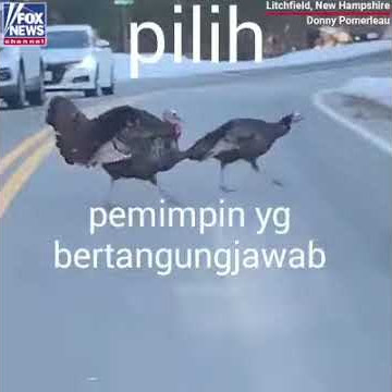 Pilih Pemimpin Yang Bertanggungjawab