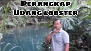 Perangkap udang lobster