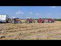 MF 385 4x4 pulling loaded trolley from fields