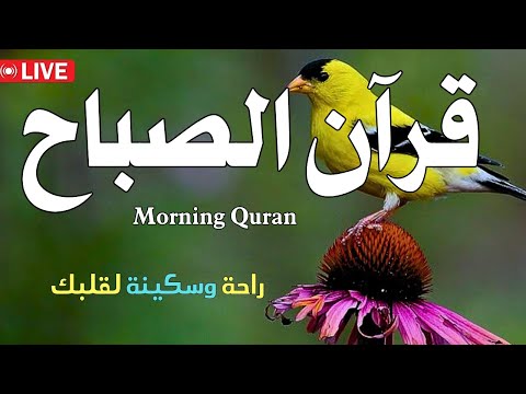 قران الصباح قران كريم للرزق والبركة وتحصين المنزل بصوت هادئ يريح النفس