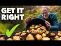 Potato growing masterclass my tips for a bigger better harvest