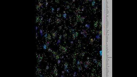 In situ sequencing demo