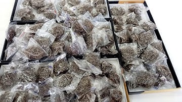 0913.260.614 zalo lưỡi câu tóm sẵn, lưỡi câu ếch, câu lương, câu tôm càng, câu cá lốc thép đen xịn