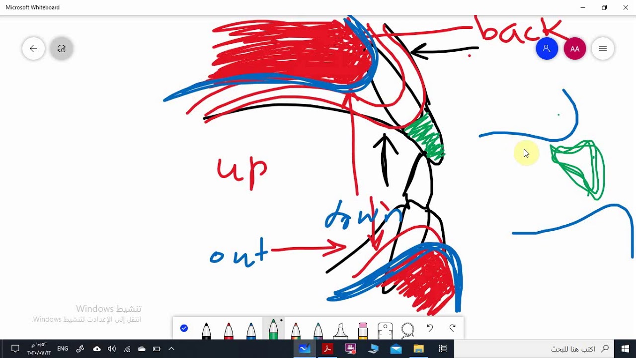 Arrangement of teeth (general considerations)
