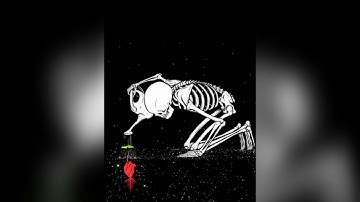 ماشاء الله تلاوة خاشعة للشيخ محمد يحيى طاهر💐💐