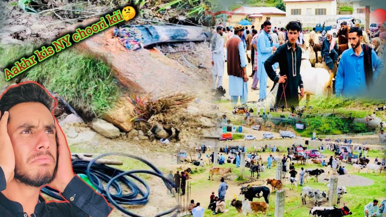 Mlti cables choorii 😱😱||Aakher kis NY kii choori🤔🤔||Byl mandii🥰|